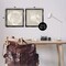 Stupell Industries Rustic Abstract Seashells 2pc Floater Framed Canvas Wall Art Set Design by Carol Robinson